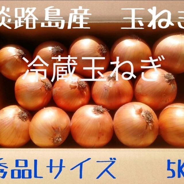 ◇秀品Lサイズ5Kg◇淡路島冷蔵玉ねぎ　たまねぎ　玉葱 食品/飲料/酒の食品(野菜)の商品写真