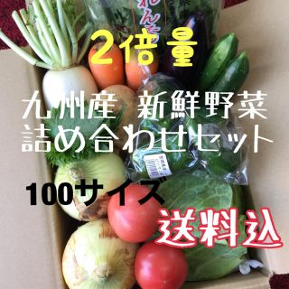 【2倍量】九州産　新鮮野菜　詰め合わせセット(野菜)