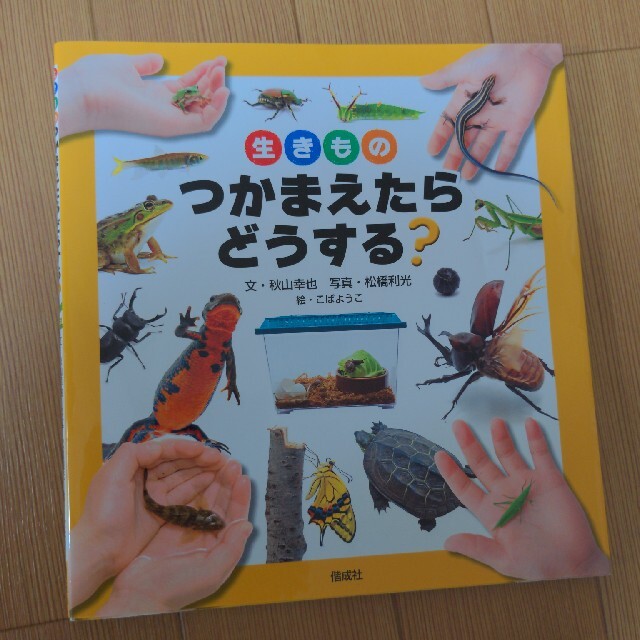 生きものつかまえたらどうする？ エンタメ/ホビーの本(絵本/児童書)の商品写真