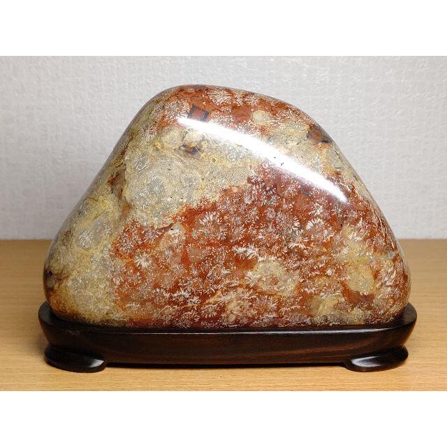 愛用 津軽・花紋石 965g 水石 自然石 鑑賞石 原石 ジャスパー 碧玉 錦 ...