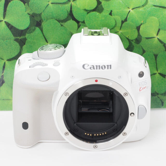 Canon - 【美品】スマホへ転送も可能❤️希少な白 キャノンKissX7 Canon - 【美品】スマホへ転送も可能❤️希少な白 キャノンKissX7