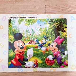 ディズニー(Disney)のDWE  プレイシート　ディズニー英語システム(知育玩具)