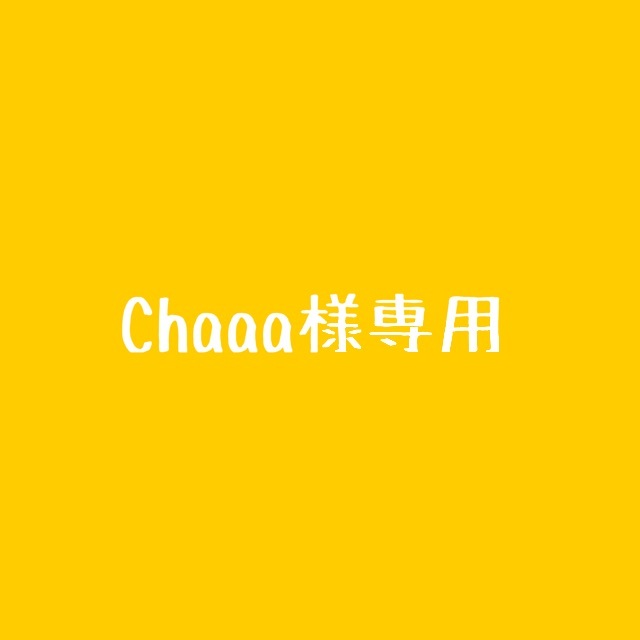 AIRBUGGY - 【chaaa様】AirBuggy/ココブレーキ/紫/パープル/ベビーカー