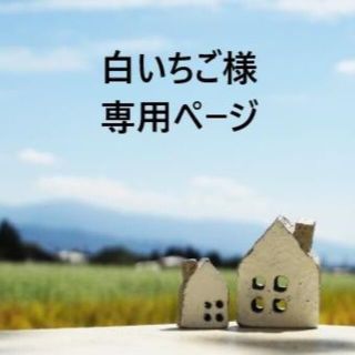 「白いちご様　専用ページ」(エクササイズ用品)