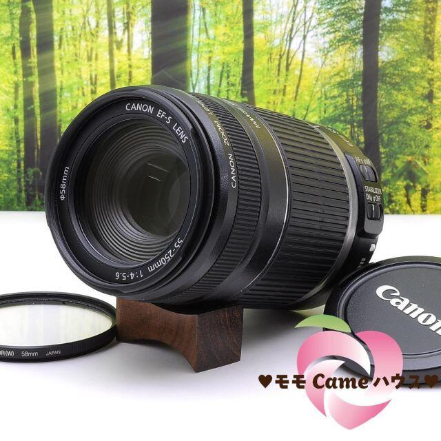 キャノン望遠レンズ★EF-S 55-250mm手ブレ補正つき☆2066-1