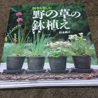 野の草の鉢植え 四季を楽しむ(趣味/スポーツ/実用)