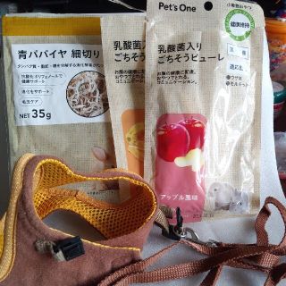 ♪やんちゅう様専用  うさぎ用リード  ハーネス＋うさぎ用おやつ(小動物)