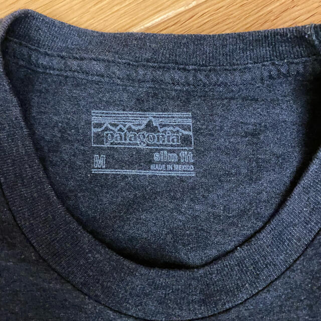 patagonia(パタゴニア)のパタゴニアTシャツ　メンズMサイズ メンズのトップス(Tシャツ/カットソー(半袖/袖なし))の商品写真