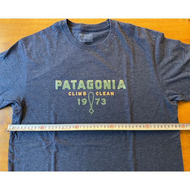 patagonia(パタゴニア)のパタゴニアTシャツ　メンズMサイズ メンズのトップス(Tシャツ/カットソー(半袖/袖なし))の商品写真