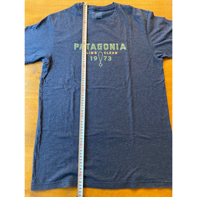 patagonia(パタゴニア)のパタゴニアTシャツ　メンズMサイズ メンズのトップス(Tシャツ/カットソー(半袖/袖なし))の商品写真