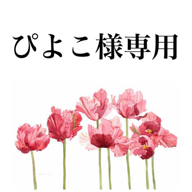 ランキングTOP10 piyoco様専用 L blog.expertsoftwareteam.com