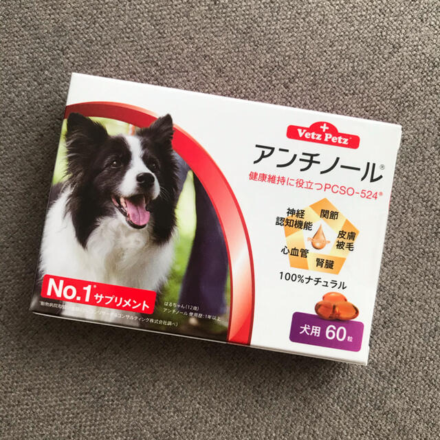 アンチノール犬用60粒入りサプリメント健康管理健康維持老犬骨関節保護腎臓皮膚