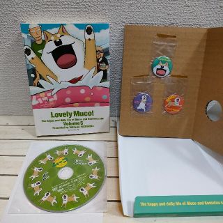 コウダンシャ(講談社)の専用『 限定 DVDと缶バッジ いとしのムーコ 』★ みずしな孝之(青年漫画)