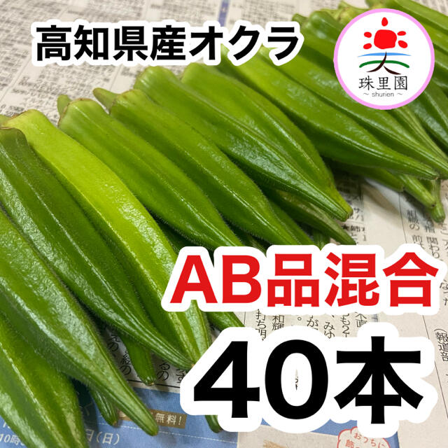 高知県産 オクラ おくら 40本 即購入OK 産地直送 鮮度抜群 夏野菜 食品/飲料/酒の食品(野菜)の商品写真