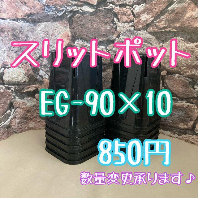 ◎10個◎ロング スリットポット EG-90L slitpot プラ鉢 ハンドメイドのフラワー/ガーデン(プランター)の商品写真