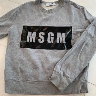 エムエスジイエム(MSGM)のMSGM スウェット　ロゴ(トレーナー/スウェット)