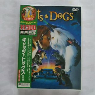 キャッツ＆ドッグス　特別版 DVD(舞台/ミュージカル)