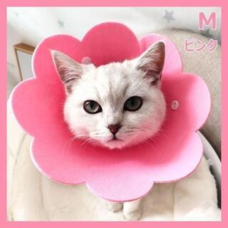 エリザベスカラー 花 ペット用 保護具 カバー ピンク Mサイズ(猫)