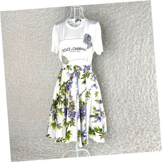 ドルチェアンドガッバーナ(DOLCE&GABBANA)の美品✨希少柄！Dolce&Gabbanaスカート(ひざ丈スカート)