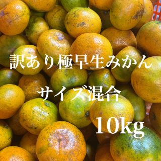 訳あり極早生みかん　サイズ混合　10kg入り‼️(フルーツ)