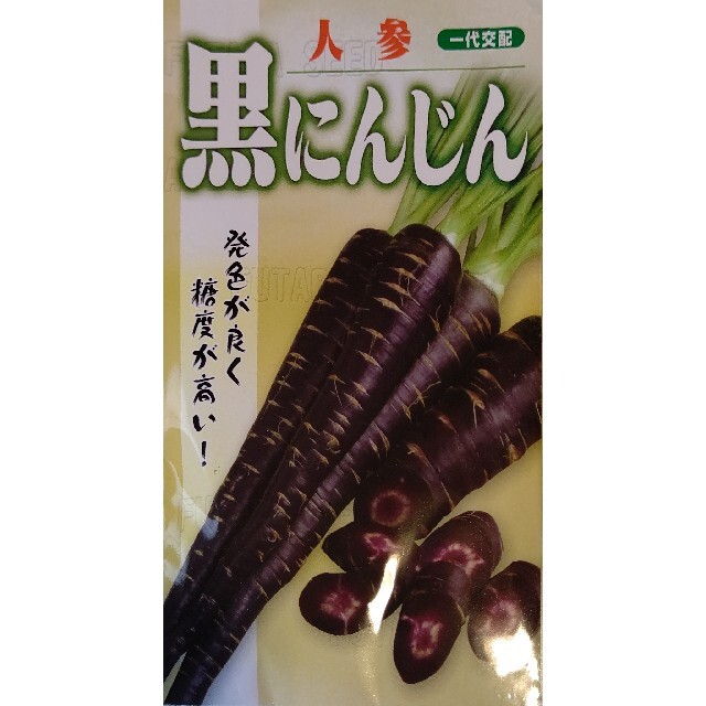 黒ニンジン 野菜種 家庭菜園 にんじん プランター 食品/飲料/酒の食品(野菜)の商品写真