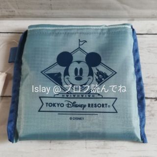 ディズニー(Disney)の新品　新商品　ディズニーリゾート　エコバッグ(エコバッグ)