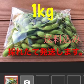 黒枝豆　1kg   採れたて発送します。(野菜)