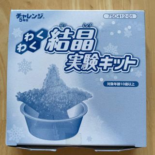 わくわく結晶実験キット  チャレンジ5年生(知育玩具)