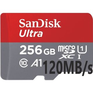 サンディスク(SanDisk)のマイクロSDカード MicroSD 256GB SanDisk サンディスク(その他)