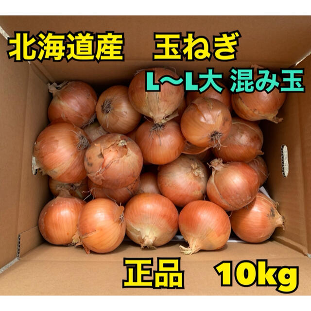 北海道産　玉ねぎ　正品　L〜L大　混み玉　10kg 食品/飲料/酒の食品(野菜)の商品写真