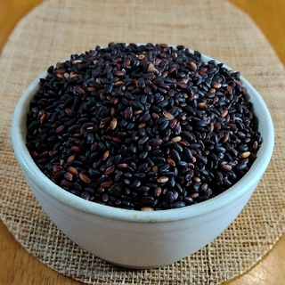 黒米(朝紫)モチ玄米 700g 令和3年・国内産(米/穀物)