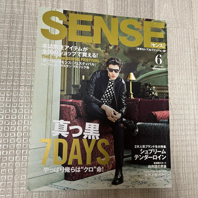 SENSE(センス)の絶版！ SENSE sense センス 2013年 6月号 TENDERLOIN エンタメ/ホビーの雑誌(ファッション)の商品写真