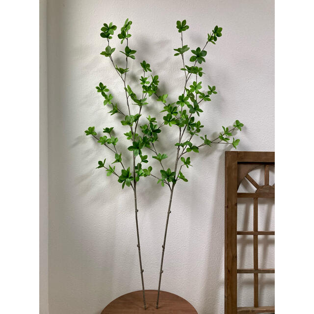 ドウダンツツジ 葉っぱたっぷりモデル2 フェイクグリーン 2本 110cm 枝 の通販 By アートグリーン フェイクグリーン ラクマ ドウダンツツジ 葉っぱたっぷりモデル2 フェイクグリーン 2本 110cm 枝 の通販 By アートグリーン フェイクグリーン ラクマ