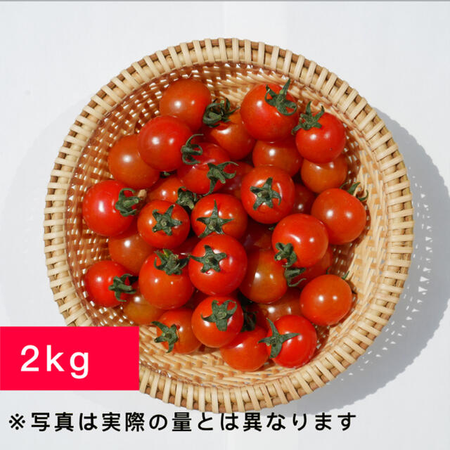 赤&イエロー 1kgずつ　にこ様専用 食品/飲料/酒の食品(野菜)の商品写真