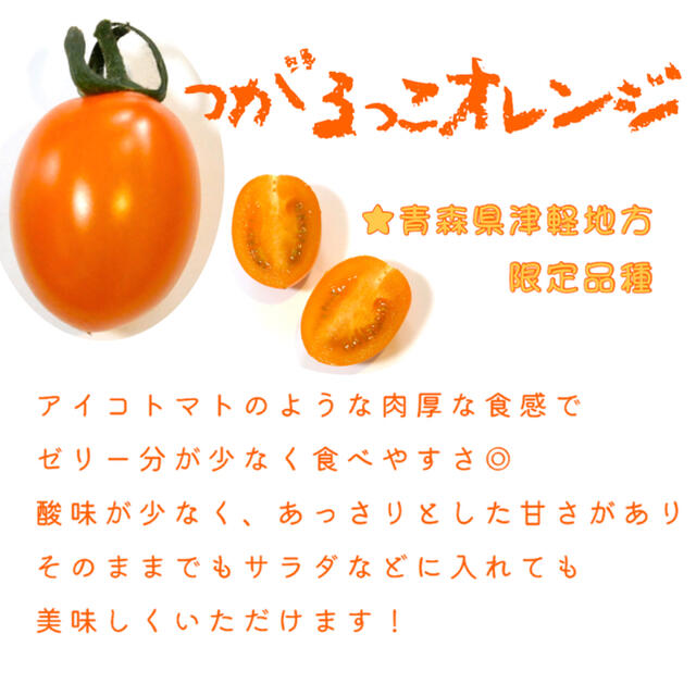 ミニトマト 2kg  [農学博士のDr.トマト] 採れたて☘️産地直送いたします 食品/飲料/酒の食品(野菜)の商品写真
