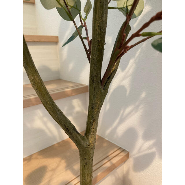 フェイクグリーン　ユーカリ　125cm　バークチップ付き　人工観葉植物  インテリア/住まい/日用品のインテリア小物(置物)の商品写真