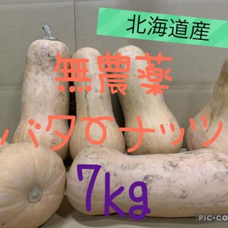 玉ねぎss北海道産　無農薬　バターナッツ　かぼちゃ　(野菜)