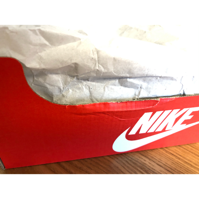 Nikeウィメンズ　ダンク　ローブラック【dd1503-101】23.5cm 7