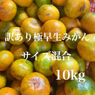 訳あり極早生みかん　サイズ混合　10kg入り‼️(フルーツ)