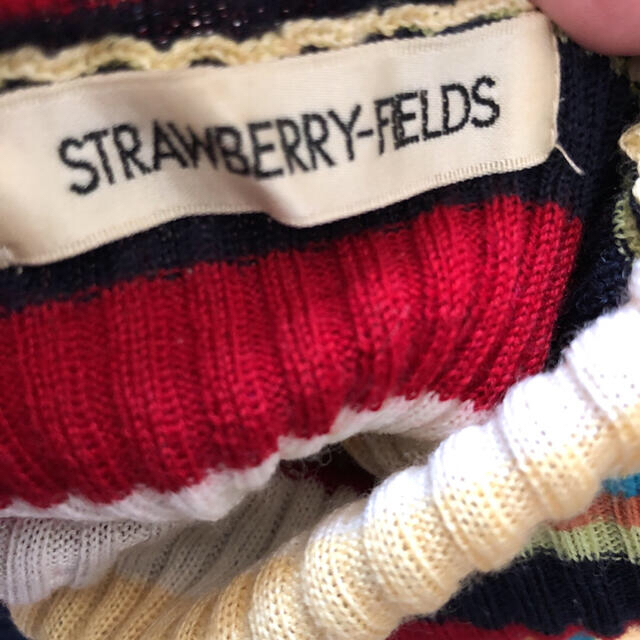 STRAWBERRY-FIELDS(ストロベリーフィールズ)のSTRAWBERRY FIELDS ボーダー　ニット　タートル　リブ　薄手 レディースのトップス(ニット/セーター)の商品写真