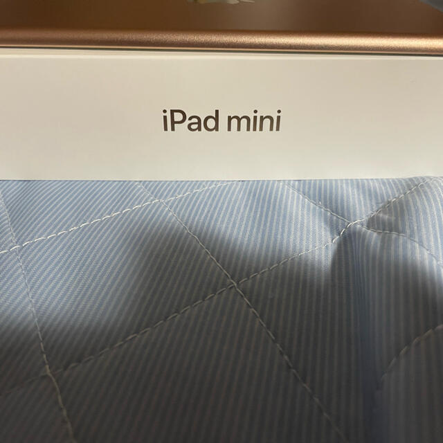 iPad mini 5 2019 64gb ゴールド 3