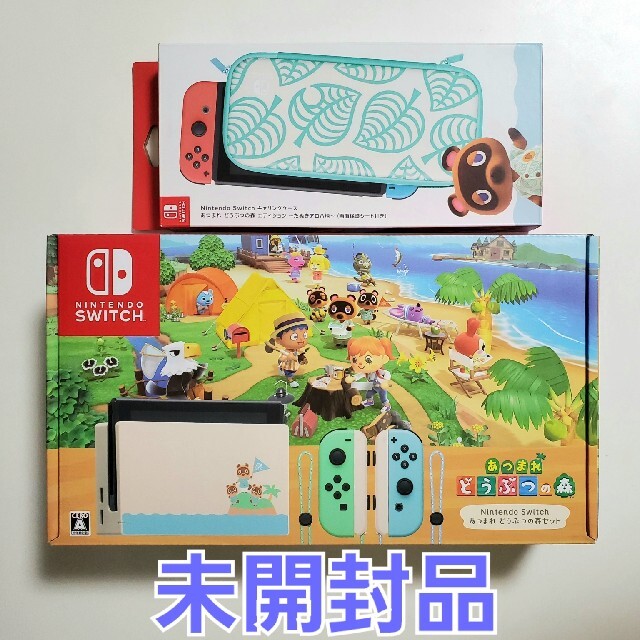 Nintendo Switch あつまれ どうぶつの森セット＋キャリングケース家庭用ゲーム機本体