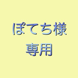 水平線＆ドライフラワー＆虹(ポピュラー)