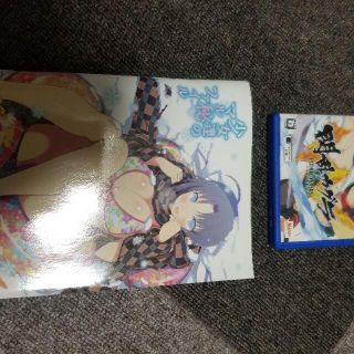 閃乱カグラESTIVAL VERSUS PSVITA　少女達のマル秘ファイル (携帯用ゲームソフト)