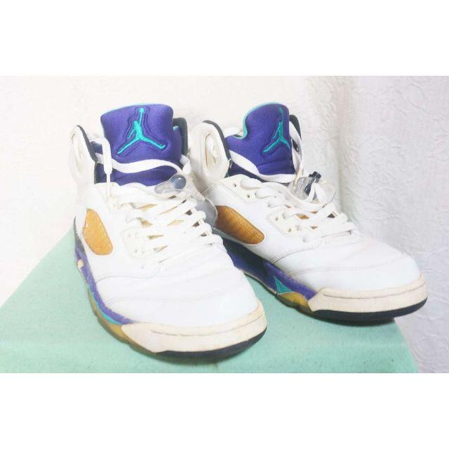 NIKE AIR JORDAN 5ナイキ エアジョーダン5 28.5cmグレープ