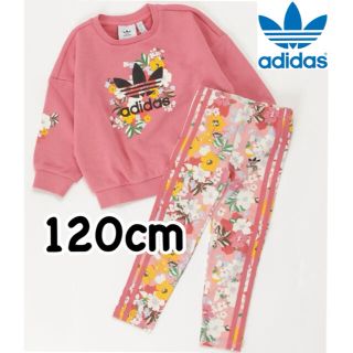 アディダス(adidas)の【新品】adidas アディダス フローラル クルー セットアップ 120センチ(その他)