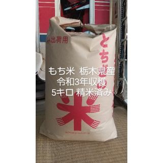 新米 もち米 精米済み5キロ  令和3年(米/穀物)