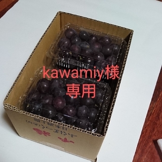 kawamiy様専用　2.4K 紫玉、雄宝（切り落とし）加工用(フルーツ)