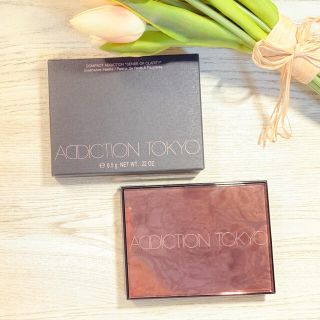 アディクション(ADDICTION)のコンパクトアディクション　102レッドシー(アイシャドウ)