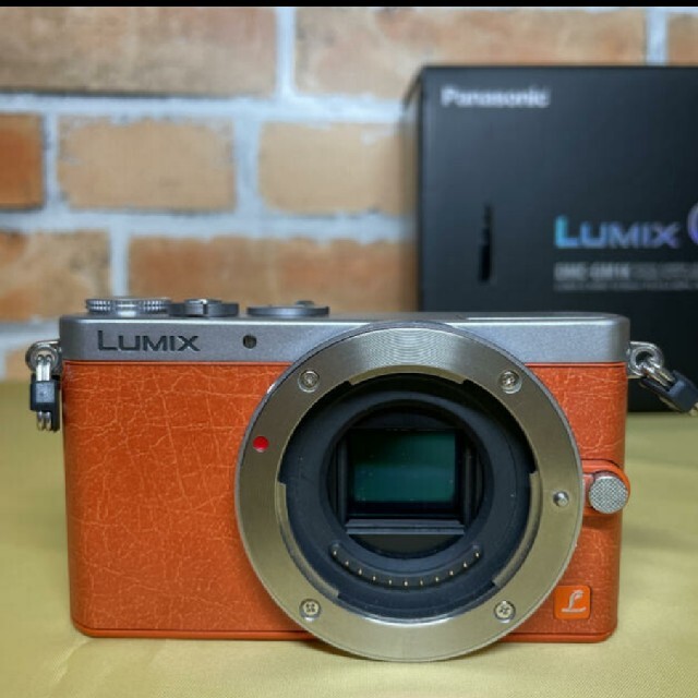 Panasonic　LUMIX DMC-GM1K　レンズ無し